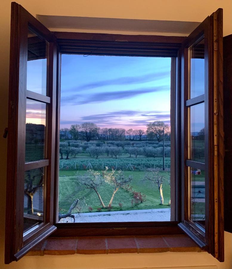 Opera Domini Asisium Bed and Breakfast Torchiagina Exteriör bild